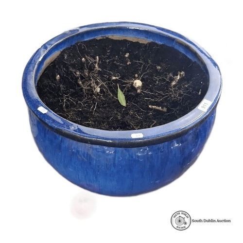 911 - A large Deep blue ceramic planter pot with a glossy finish.