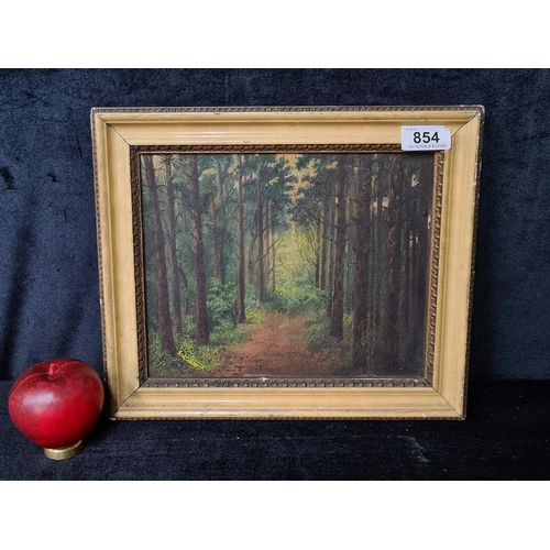 854 - An original oil on canvas painting. Features a serene Woodland Forest landscape. Rendered in earthy ... 