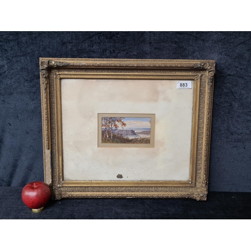 883 - Star Lot: A delicate early 20the century original 'H. Page' watercolour on paper painting. Features ... 