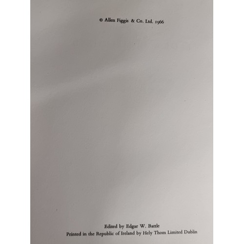 133 - A reprinted edition of the iconic book  'Vanishing Dublin' by Flora H. Mitchell. With original dust ... 