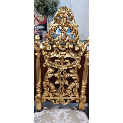 374 - Star Lot : A pair of Gilt French style hall chairs with heavily gilded and decorative carved timber ... 