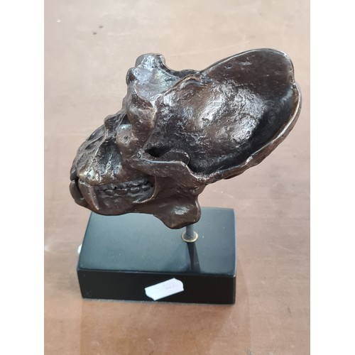 138 - Star Lot : An eye catching cast bronze sculpture in the form of a gorilla skull on a black base.