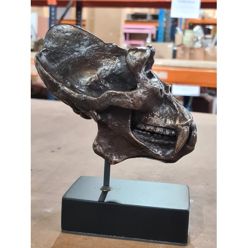 138 - Star Lot : An eye catching cast bronze sculpture in the form of a gorilla skull on a black base.