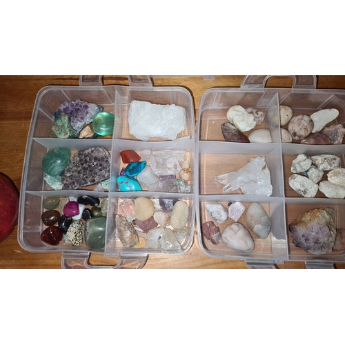 476 - Star Lot : A large  assorted gemstone collection in divided plastic case, featuring Rubies, amethyst... 