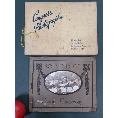 627 - Two photograph booklets including an early 20th century 