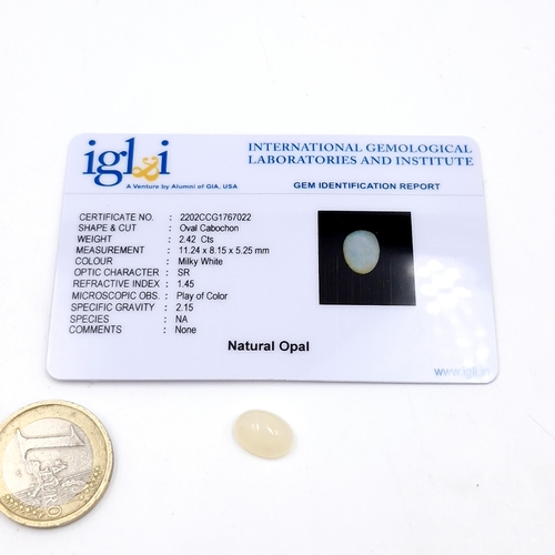 1080 - A natural opal of 2.42 carats. Comes with certificate of authenticity.
Previous in auction on 26/09/... 