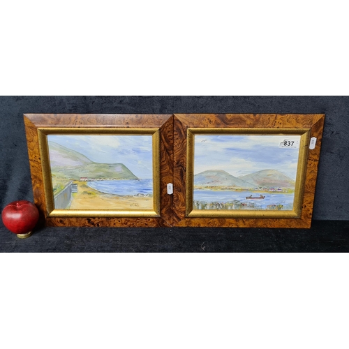 1164 - A harmonious pair of original oil on board paintings. Features coastal landscape scenes with lilac g... 