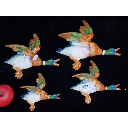 171 - Four great pieces of Beswick with graduated flying Mallard ducks. All in very good condition with st... 