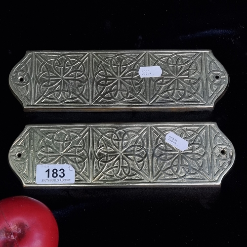 183 - A pair of cast brass Liffey artifacts door push plates featuring featuring Celtic knot designs.