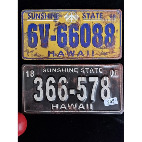 255 - A pair of printed metal embossed number plates 