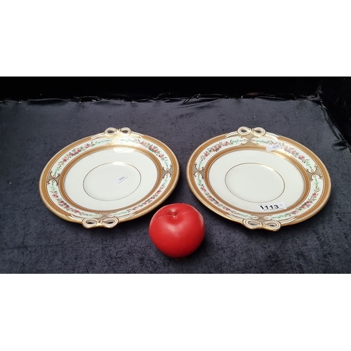 1113 - Pair of very pretty 19th century porcelain plates, floral and gold bands, marked with design registr... 