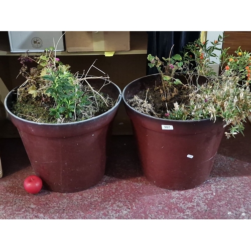 1228 - Pair of large plastic plant pots with mixed greenery and dried foliage. Approximately 50 cm in diame... 