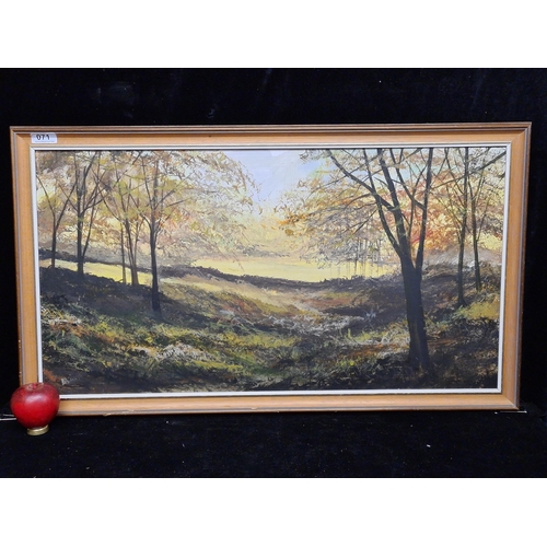 71 - An original 'B.A Owen' oil on board painting. Features a tranquil landscape scene. Rendered in paste... 