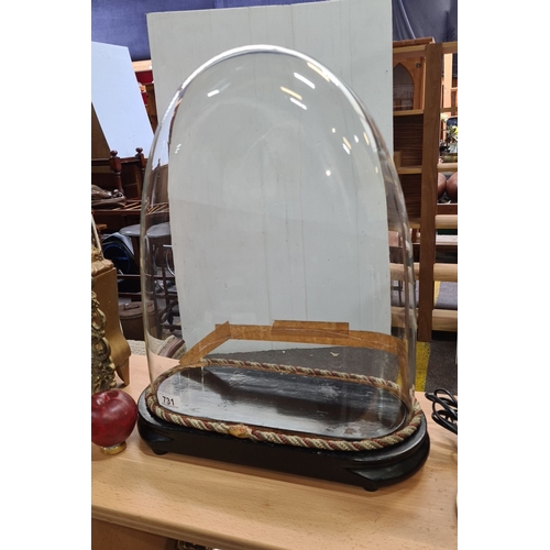 731 - A Large Victorian glass dome with black wooden base and braided trim. Approximate height: 40 cm. The... 