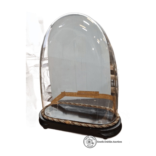 731 - A Large Victorian glass dome with black wooden base and braided trim. Approximate height: 40 cm. The... 