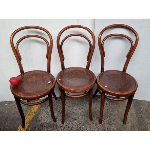 636 - Set of three vintage bentwood chairs with intricately carved seat designs, showcasing classic Thonet... 