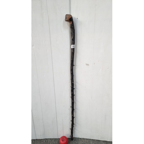 Hand-carved blackthorn wooden walking stick features natural thorn details and a rustic design with a smooth finish.