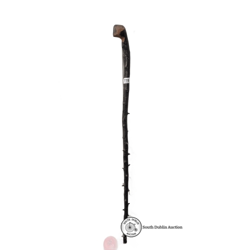 778 - Hand-carved blackthorn wooden walking stick features natural thorn details and a rustic design with ... 