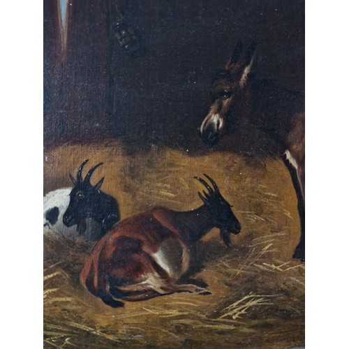 313 - A wonderful original oil on canvas painting. Features a donkey with goats in a stable. Rendered in a... 