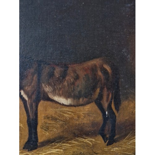 313 - A wonderful original oil on canvas painting. Features a donkey with goats in a stable. Rendered in a... 