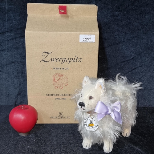 1189 - Star Lot : A delightful German Spitz Steiff Teddy Bear club edition 2000/2001 adorning a red collar ... 