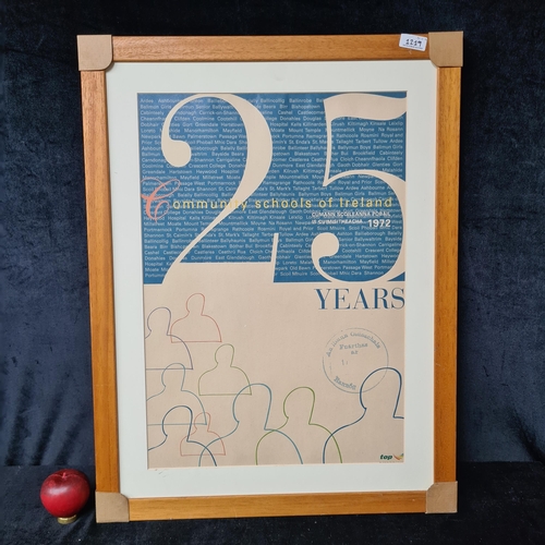 1219 - A '25 years community schools of Ireland 1972' poster. Housed in a wooden frame.