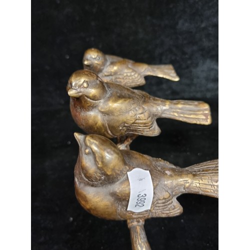 265 - Star Lot : A fabulous bronze sculpture. Features a family of songbirds perched on a branch. Great de... 