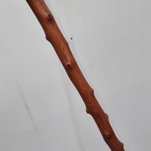 380 - A blackthorn  wood walking stick with a unique grain pattern. Length approximately 36 inches.