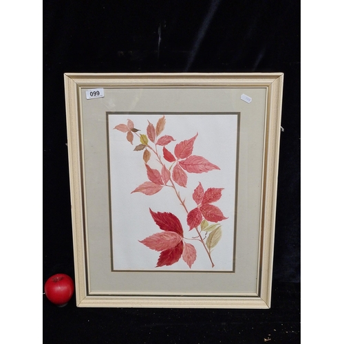 99 - An original Imelda Corry (Irish contemporary artist) watercolour on paper depicting a branch with au... 