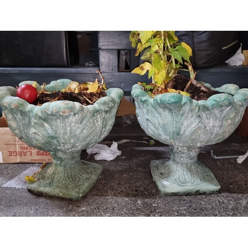 905 - A Pair of vintage garden urn planters crafted from patinated cast stone with classic floral motif.