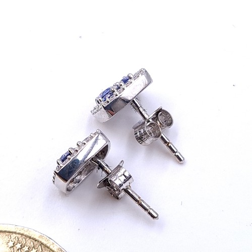 566 - A pair of beautiful  Tanzanite stud earrings with gemstone surround set in sterling silver. New, unw... 