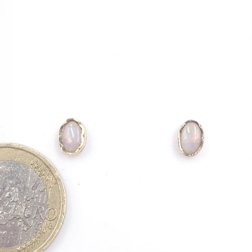 7 - A pair of opal stud earrings set in nine carat gold. Weight - 0.7 grams. Boxed. Lovely colour play i... 