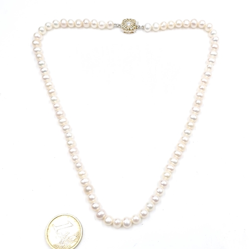 584 - A cultured pearl necklace with sterling silver clasp. Length - 42 cms.