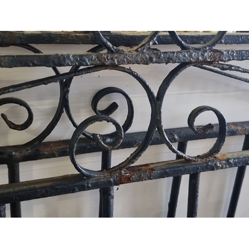 858 - Star Lot : Ornate wrought iron double gate featuring intricate scrollwork. . Approximately 111 cm in... 