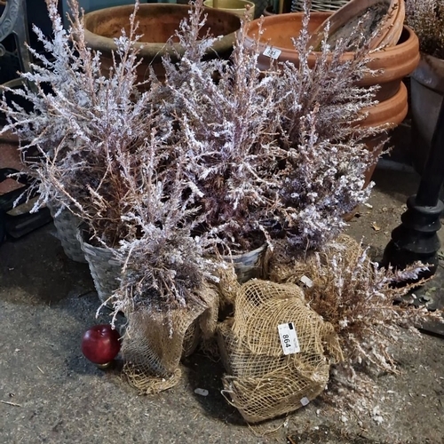 864 - A selection of eight Christmas frosted plant decor.