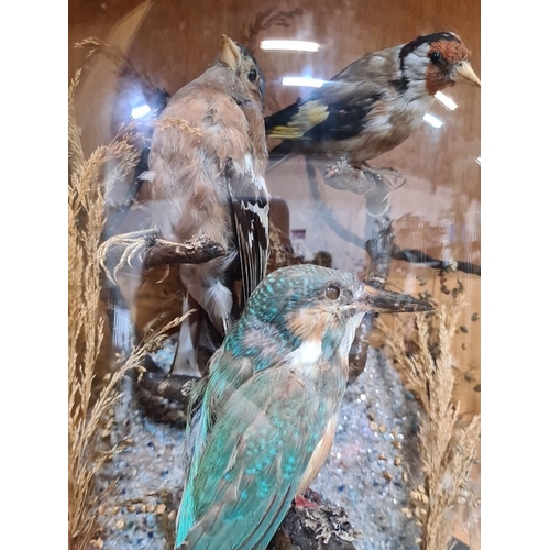 743 - Star lot : A super antique Taxidermy display with three small birds under a glass dome, featuring na... 