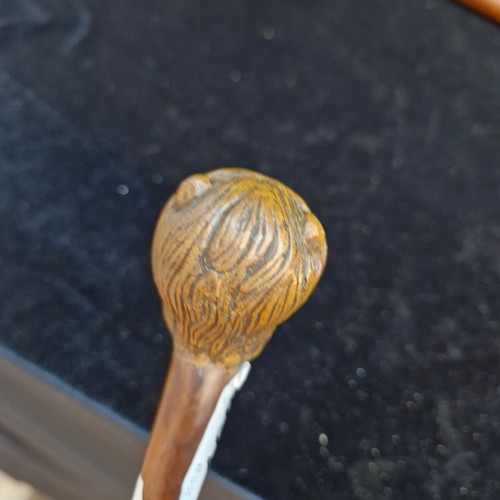 160 - A vintage brass tipped walking cane/stick with nicely carved lion head handle with glass eyes.