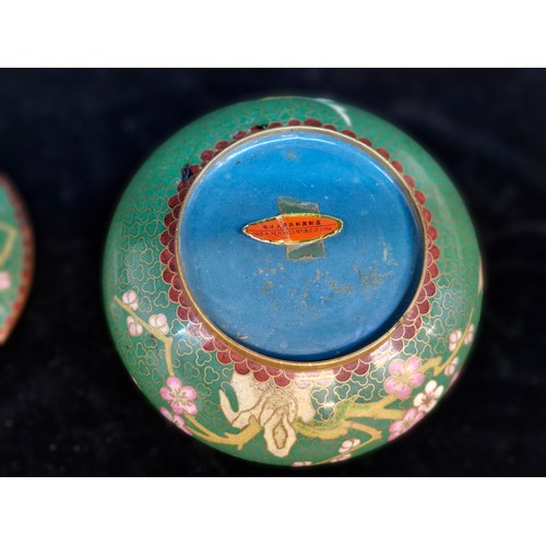 151 - Star Lot : A lovely  pair of Cloisonne enamelled Chinese lidded jars sat on hand carved Rosewood bas... 