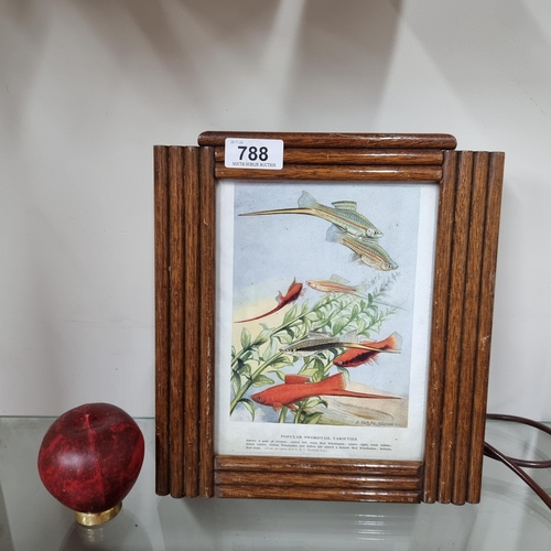 788 - A most unusual radio mounted onto a framed print.