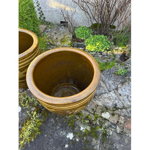 1012 - Star lot : Two very large vintage glazed Garden pots with Dragon Design. From the clearance of Dunbo... 