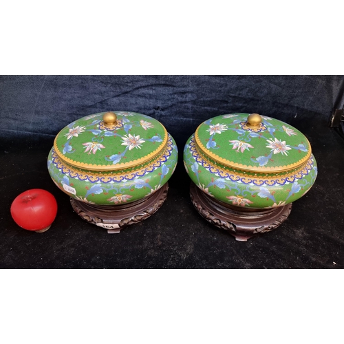 1182 - Star Lot : A fabulous large pair of large Chinese Cloisonne lidded bowls sat on hand craved rosewood... 