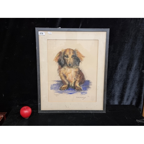 1196 - A very adorable 'T. Panet' chalk pastel on paper painting / drawing titled 'Snoopy'. Features a port... 