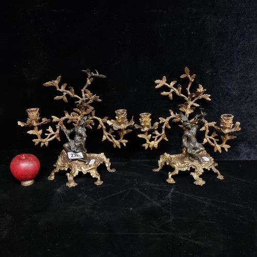 232 - Star Lot : A super pair of 19th century French gilt bronze candelabras with figures perched in the b... 