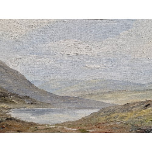 79 - Star Lot: Sheila Rahill (Irish, 20th century). An original Sheila Rahill oil on board painting. Feat... 