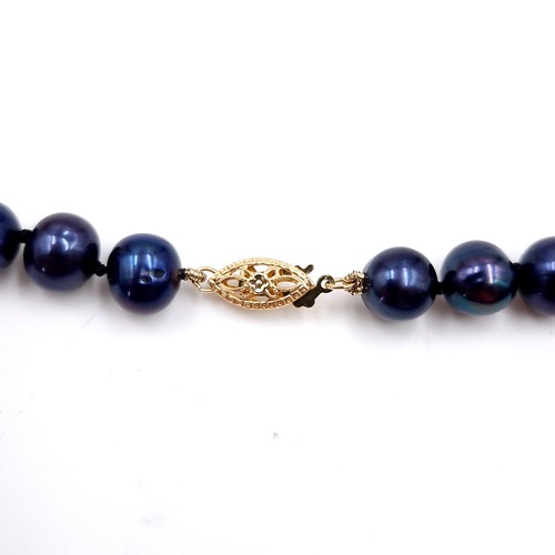 505 - A cultured blue lustre pearl necklace with 14 carat gold clasp. Length - 42 cms. Boxed.