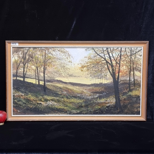 72 - An original 'B.A Owen' oil on board painting. Features a tranquil landscape scene. Rendered in paste... 