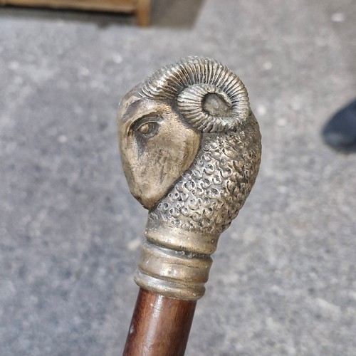 452 - A highly detailed antique gentleman's walking cane showcasing a silver played ram's head handle.