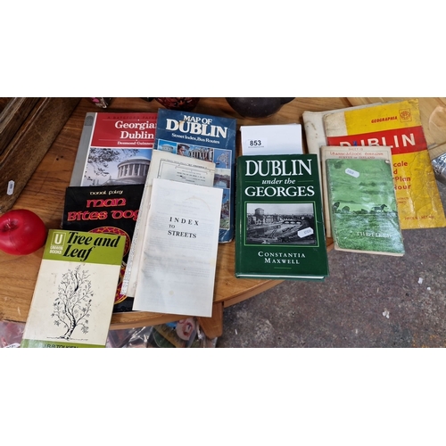 853 - Assorted Dublin-themed literature including 