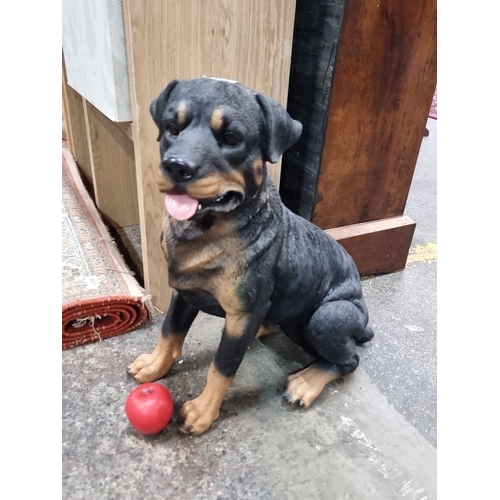 879 - Resin Rottweiler dog statue with red ball, finely detailed and hand-painted. Contemporary design wit... 