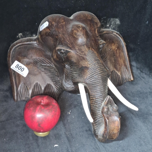 800 - A very impressive vintage  mahogany elephant head wall sculpture, Heavy fabulously carved piece.